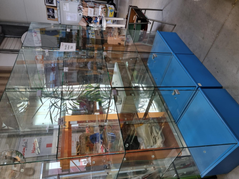 Glaskasten, Glasvitrine, 