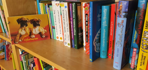 Krimi, Romane, Kindergeschichten, Kinderbuch, Buch, 